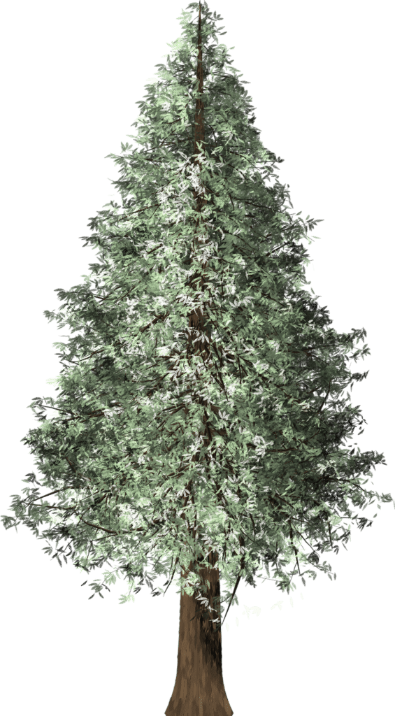 Tree Removal Cutout