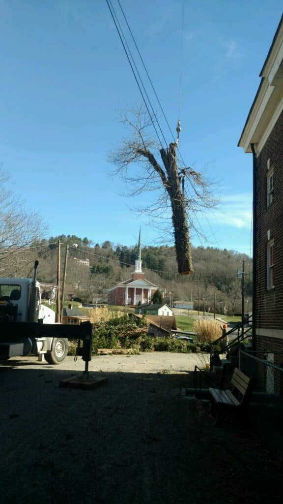 Storm Debris Cleanup – Howell Tree Removal Waynesville