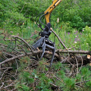 Tree removal waynesville nc