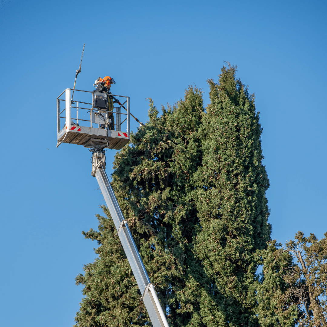 Open Government Active Contracts