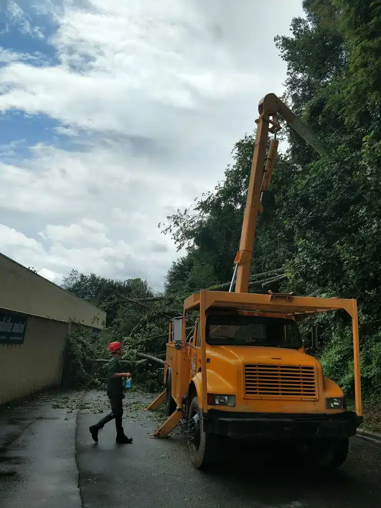 Howell tree removal truck